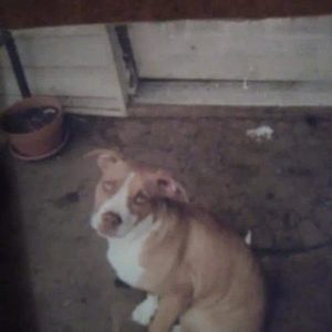 Meet your Posher, Susie